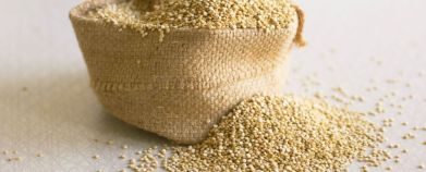 quinoa-986x400
