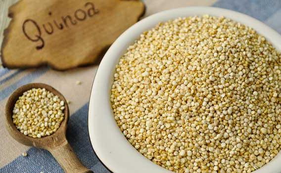 ricette di quinoa